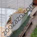 Оборудвана Клетка за Гризачи 95 х 57 х 46см. - Ferplast Rabbit 100